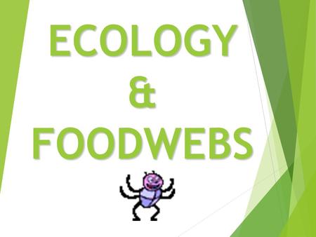 ECOLOGY & FOODWEBS.