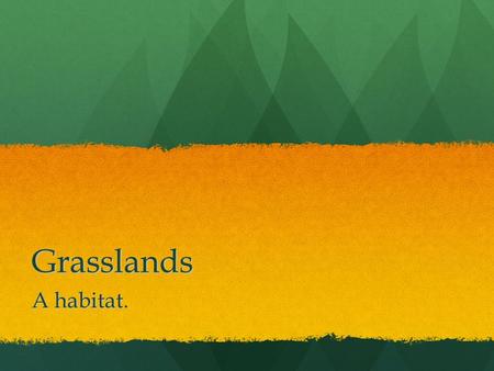 Grasslands A habitat..