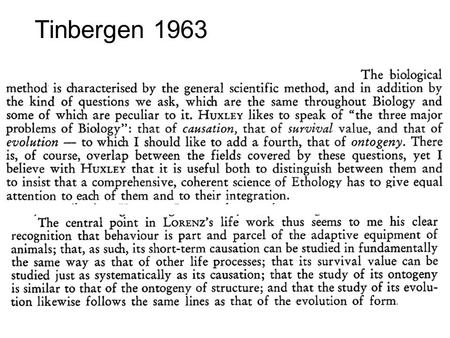 Tinbergen 1963. Alcock’s paraphrase of Tinbergen How does the behavior promote an animal’s ability to survive and reproduce? How does an animal use its.