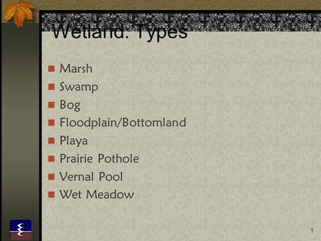 1 Wetland: Types Marsh Swamp Bog Floodplain/Bottomland Playa Prairie Pothole Vernal Pool Wet Meadow.