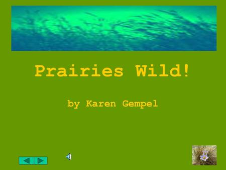 Prairies Wild! by Karen Gempel What does the word “prairie” mean to you? Do you think of a big empty field?