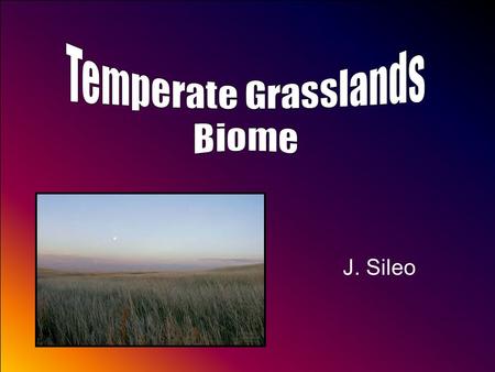 J. Sileo. The Basics of the Temperate Grasslands Temperature Ranges  -40°F --- +100°F Annual Precipitation  20-35 inches, typically in the form of snow.