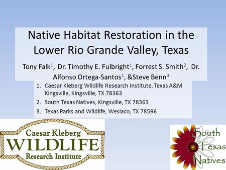 Native Habitat Restoration in the Lower Rio Grande Valley, Texas Tony Falk 1, Dr. Timothy E. Fulbright 1, Forrest S. Smith 2, Dr. Alfonso Ortega-Santos.