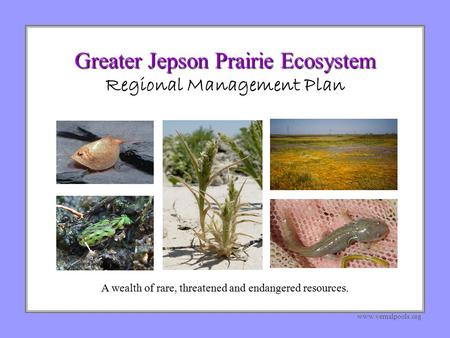 Greater Jepson Prairie Ecosystem Greater Jepson Prairie Ecosystem Regional Management Plan www.vernalpools.org A wealth of rare, threatened and endangered.