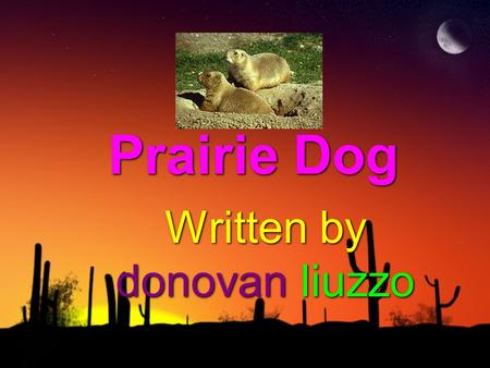 Prairie Dog Written by donovan liuzzo. protection The prairie dog protects itself by sending a bark. then they will dive into their burrow and wait for.