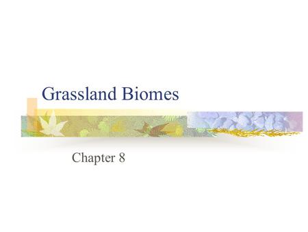 Grassland Biomes Chapter 8.