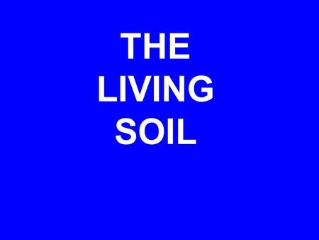 THE LIVING SOIL. Functions of soil Support plant growth Regulate water flow Absorb and transform pollutants Habitat for living organisms  Soil Quality.
