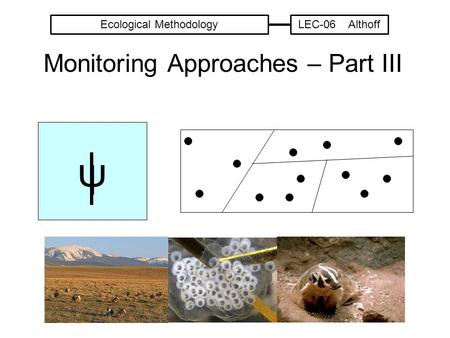 Monitoring Approaches – Part III ψ Ecological MethodologyLEC-06 Althoff.
