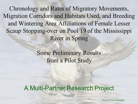 Chronology and Rates of Migratory Movements, Migration Corridors and Habitats Used, and Breeding and Wintering Area Affiliations of Female Lesser Scaup.