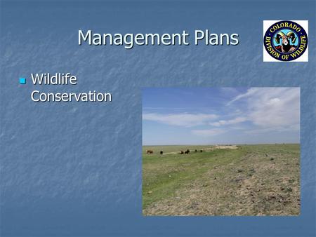 Management Plans Wildlife Conservation Wildlife Conservation.