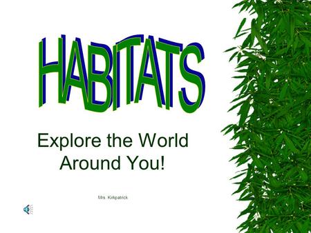 Explore the World Around You! Mrs. Kirkpatrick What is a Habitat?  A habitat is a place where a particular animal or plant species lives.  An artificial.