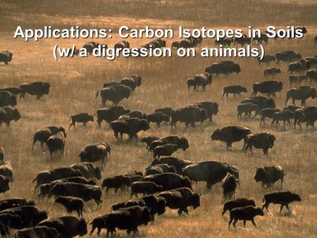 Applications: Carbon Isotopes in Soils (w/ a digression on animals)