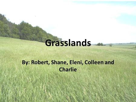 Grasslands By: Robert, Shane, Eleni, Colleen and Charlie.