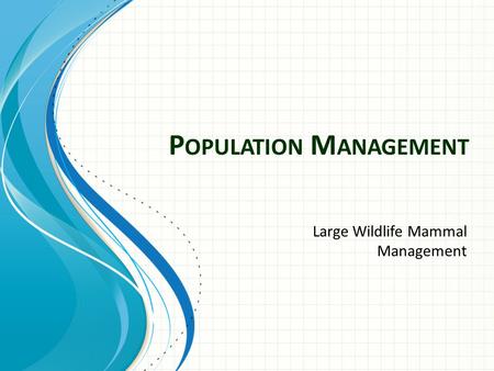 P OPULATION M ANAGEMENT Large Wildlife Mammal Management.
