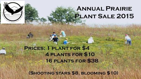 Annual Praire Plant Sale 2012 Annual Prairie Plant Sale 2015 Prices: 1 plant for $4 4 plants for $10 16 plants for $38 (Shooting stars $8, blooming $10)