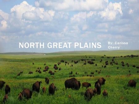 By: Carissa Cherry NORTH GREAT PLAINS.  The Northern Great Plains span over 180 million acres, across 5 u.s. states and into Canada. This grassland is.