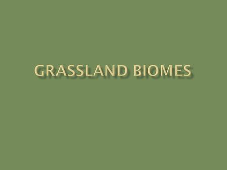 We just got done studying forest biomes  Now we will move on to focusing on biomes that have less precipitation  These are the grassland biomes because.