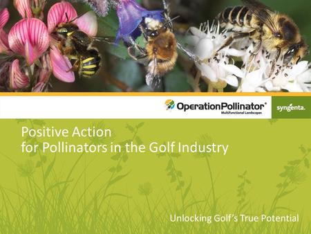 Positive Action for Pollinators in the Golf Industry Unlocking Golf’s True Potential.