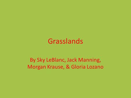Grasslands By Sky LeBlanc, Jack Manning, Morgan Krause, & Gloria Lozano.