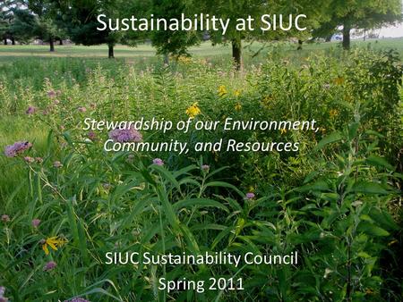 Sustainability at SIUC SIUC Sustainability Council Spring 2011 Stewardship of our Environment, Community, and Resources.