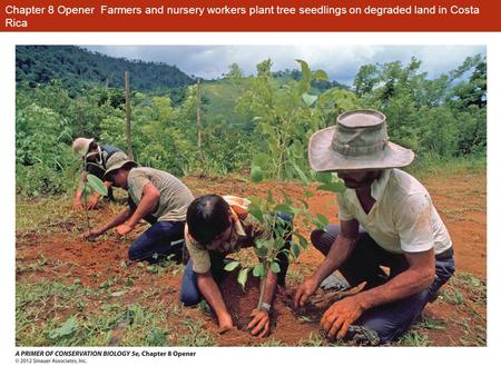 Chapter 8 Opener Farmers and nursery workers plant tree seedlings on degraded land in Costa Rica.