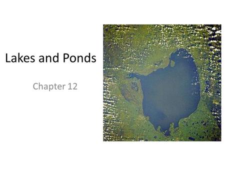 Lakes and Ponds Chapter 12. Conditions in Lakes and Ponds Cons: oxygen is limited the deeper you go, the darker it gets Pros: lack of water not a problem.