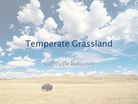 Temperate Grassland Gabrielle Bellanco. Geography North America: – Great Plains – Southern Canada to Gulf of Mexico – Rocky Mountains to deciduous forests.
