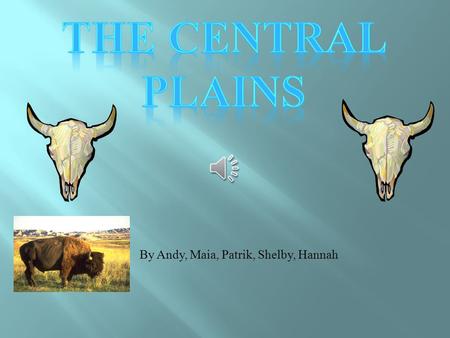 By Andy, Maia, Patrik, Shelby, Hannah The Land  The Central Plains region is a mixture of a land and a really grassy green land.  It is not too hot.