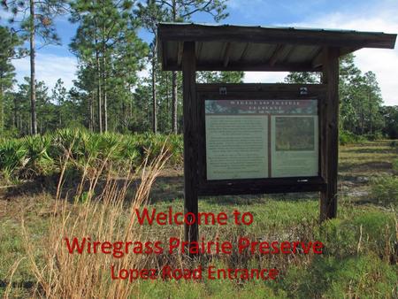 Welcome to Wiregrass Prairie Preserve Lopez Road Entrance.