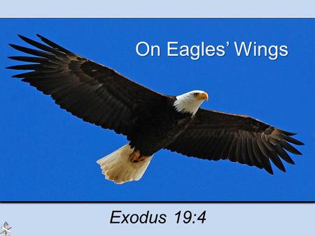 On Eagles’ Wings Exodus 19:4. Strength of God Saves from the Bondage of Sin God’s power to save us from our sins –Israel from Egypt, Exodus 13:3 –Completely.