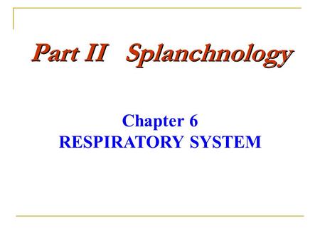 Chapter 6 RESPIRATORY SYSTEM
