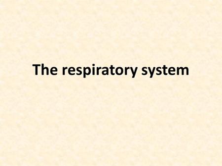 The respiratory system. Respiration: The exchange of gases between an organism and its environment The process has two phase: - Organismic respiration.
