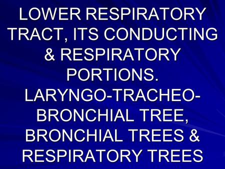 LOWER RESPIRATORY TRACT, ITS CONDUCTING & RESPIRATORY PORTIONS