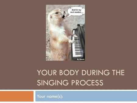 YOUR BODY DURING THE SINGING PROCESS Your name(s):