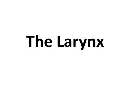 The Larynx.