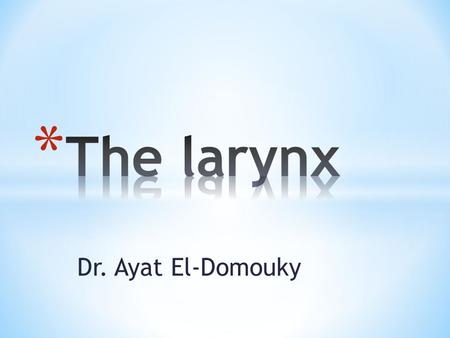 The larynx Dr. Ayat El-Domouky.