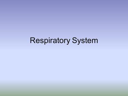 Respiratory System. Upper Respiratory System –Nose –Nasal cavity –Pharynx Lower Respiratory System –Larynx –Trachea –Bronchi –Lungs.