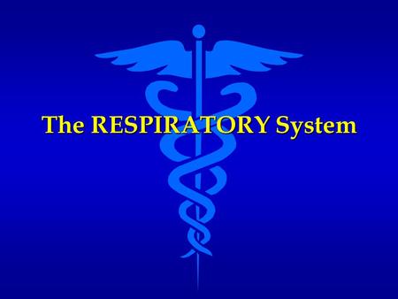 The RESPIRATORY System. Functions of the Respiratory System Provides structures and mechanisms for gas exchange Provides structures and mechanisms for.
