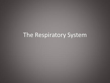 The Respiratory System. Anatomy Lungs and Air Passages A.Nose, pharynx, larynx, trachea, bronchi, alveoli and lungs B.Responsible for: 1.Taking in O2.