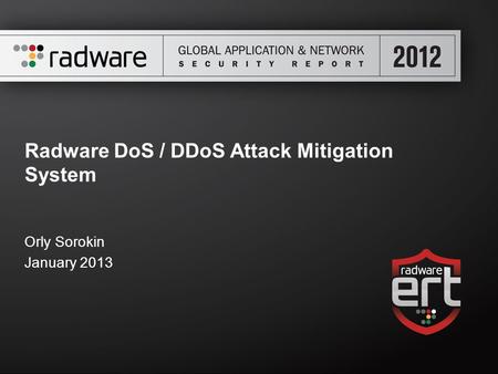 Radware DoS / DDoS Attack Mitigation System Orly Sorokin January 2013.