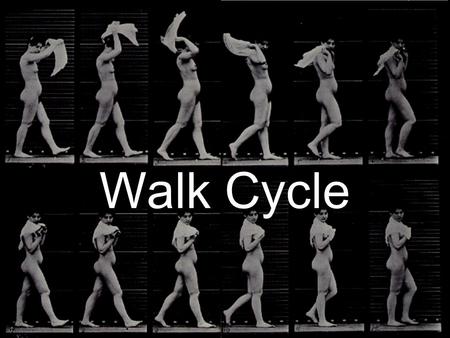 Walk Cycle. Basic Complete Walk Cycle Start with the Contact Pose.