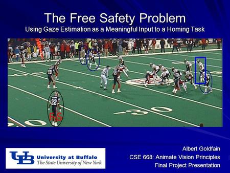 The Free Safety Problem Using Gaze Estimation as a Meaningful Input to a Homing Task Albert Goldfain CSE 668: Animate Vision Principles Final Project Presentation.
