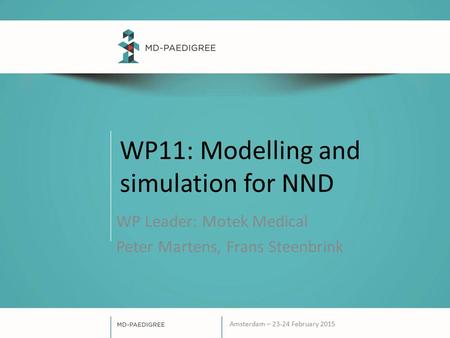 WP11: Modelling and simulation for NND WP Leader: Motek Medical Peter Martens, Frans Steenbrink Amsterdam – 23-24 February 2015.
