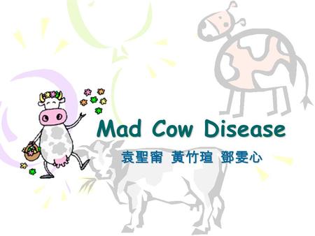 Mad Cow Disease 袁聖甯 黃竹瑄 鄧雯心. What is Mad Cow Disease ? A kind of transmissible spongiform encephalopathies (TSE) Occurs in many mammals, including human.