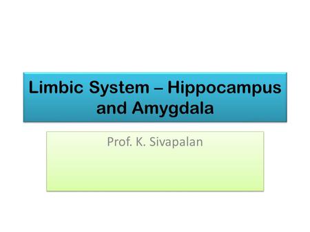 Limbic System – Hippocampus and Amygdala Prof. K. Sivapalan.