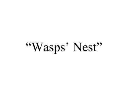 “Wasps’ Nest”.