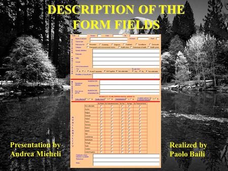 DESCRIPTION OF THE FORM FIELDS Presentation by Andrea Micheli Realized by Paolo Baili.