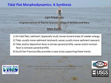 Tidal Flat Morphodynamics: A Synthesis 1) On tidal flats, sediment (especially mud) moves toward areas of weaker energy. 2) Tides usually move sediment.