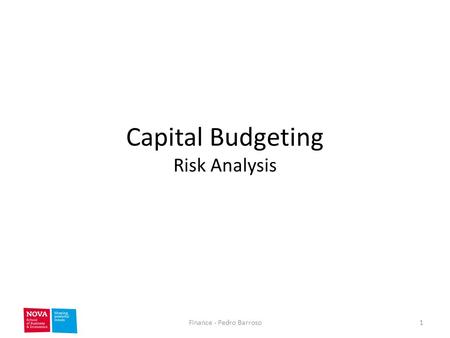 Capital Budgeting Risk Analysis 1Finance - Pedro Barroso.