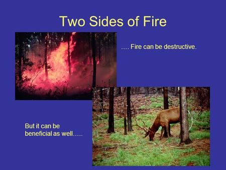 Two Sides of Fire …. Fire can be destructive. But it can be beneficial as well…..